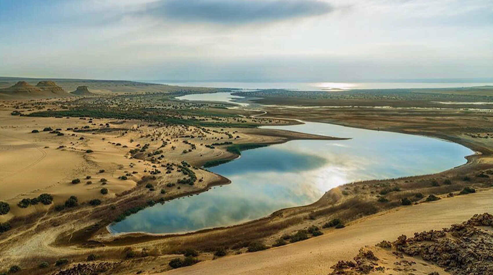 Bahariya Oasis Desert