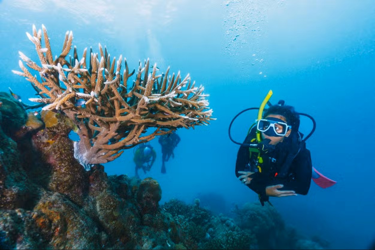 Bautismo de buceo en el Mar Rojo